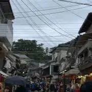 むぎったんの画像
