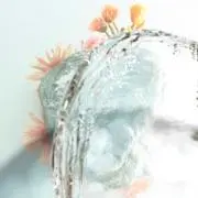 aの画像