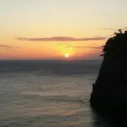 かい