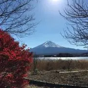 ayunakinokoの画像
