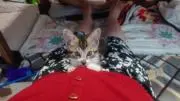 ほなママ♪