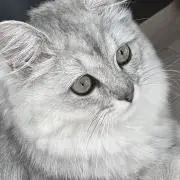 Ramii0313の画像