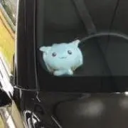 たく