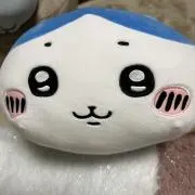 MIZUの画像