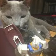 チョロくんの画像