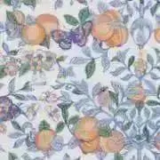 ユーカリの画像