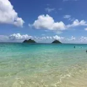 まままの画像