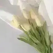 tan‪☁ご購入前にコメントください