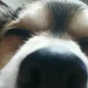 ボク♡の画像