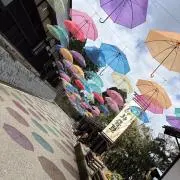 brans2の画像