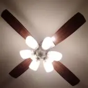 れいの画像