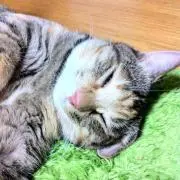 sono（プロフ必読で）