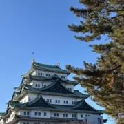 らびんゆの画像