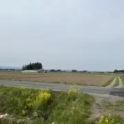 も