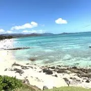 ROYの画像