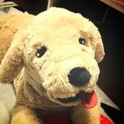 すころころんの画像