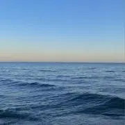 hyfgxの画像
