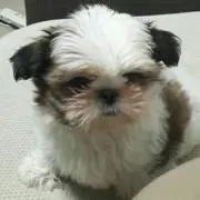 マリ