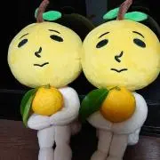 こすけの画像