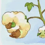 シャルマティの画像