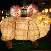 パー子の画像