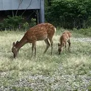 H2の画像