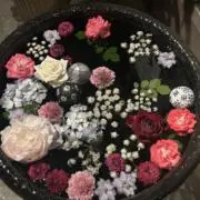 ♡ひまわり♡の画像