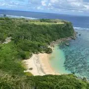 RIの画像