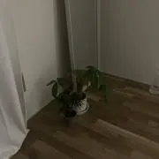 osagariの画像