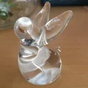 cocoの画像