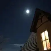 PERO PEROの画像