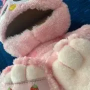 00の画像