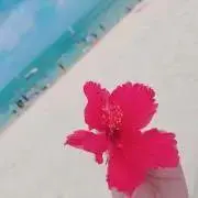 ★の画像