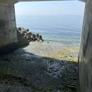 sawabeの画像