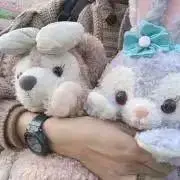 ゆどーふ
