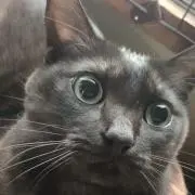 たくや
