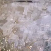 じゃがりこの画像