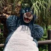 ぷりんの画像