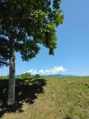 さやかの画像
