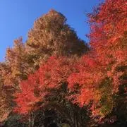 あき