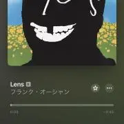 きのこの画像