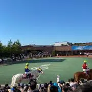 KR