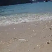 むーさんの画像