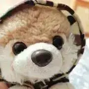 chamiの画像