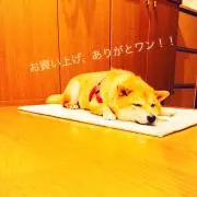 kuronosuの画像