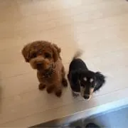 みの画像