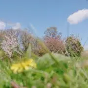 KANAの画像