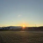 まにゃにゃんだーの画像