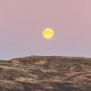 かひろ