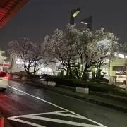 平43大磯駅・国府津駅の画像